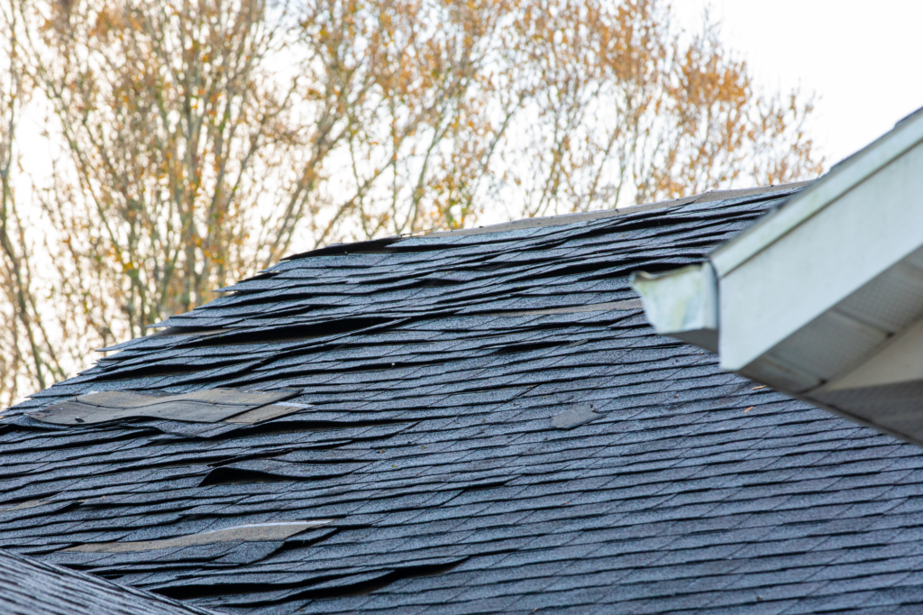 Asphalt shingles on a residential roof.