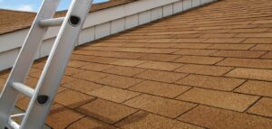 How Often Should I Replace My Roof In Toronto